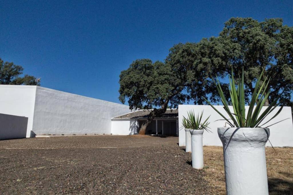 Casa Del Principe Villa Daimiel Bagian luar foto